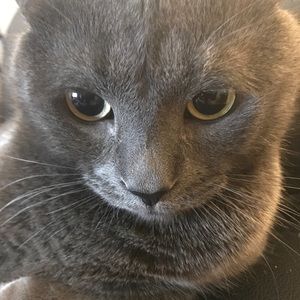 Meet your Posher, Charlene